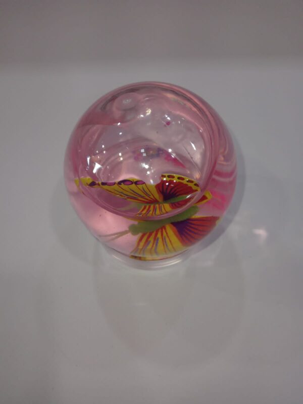 Water Filled Bouncy Ball