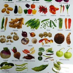 vegetables20chart.jpg